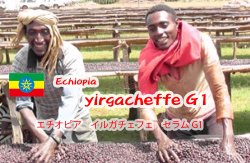 画像1: 　エチオピア　　　　イルガチェフモカ　G1ナチュラル