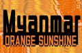 ミャンマー G1 シャン州 ピンダヤ村 アナエロビック オレンジサンシャイン