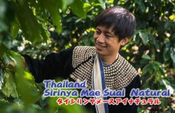 画像1: タイ シリンヤ メースアイ ナチュラル