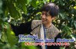 画像1: タイ シリンヤ メースアイ ナチュラル (1)