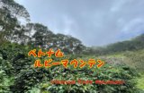 画像: ベトナム　ルビーマウンテン